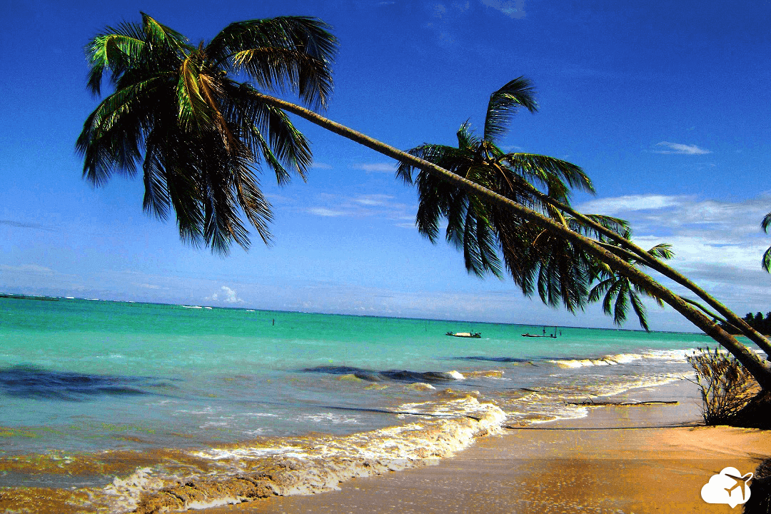 Praia deserta São Miguel dos Milagres Alagoas