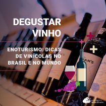 Enoturismo: dicas de vinícolas no Brasil e no mundo