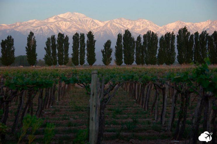 enoturismo vinicola em mendoza argentina
