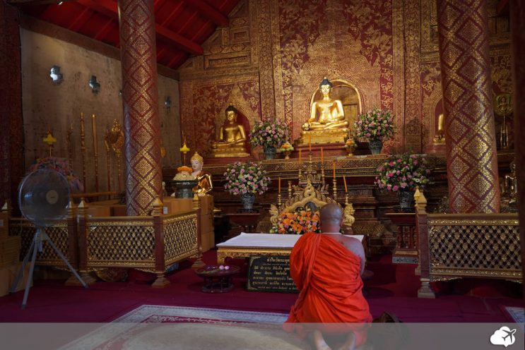monge rezando para buda