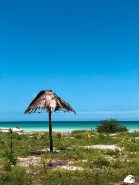 praia de holbox cancun e arredores