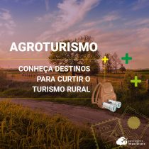 Agroturismo: conheça destinos para curtir o turismo rural