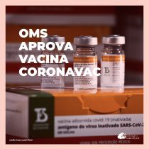 OMS aprova uso emergencial da Coronavac e gera expectativa de viagem para Europa